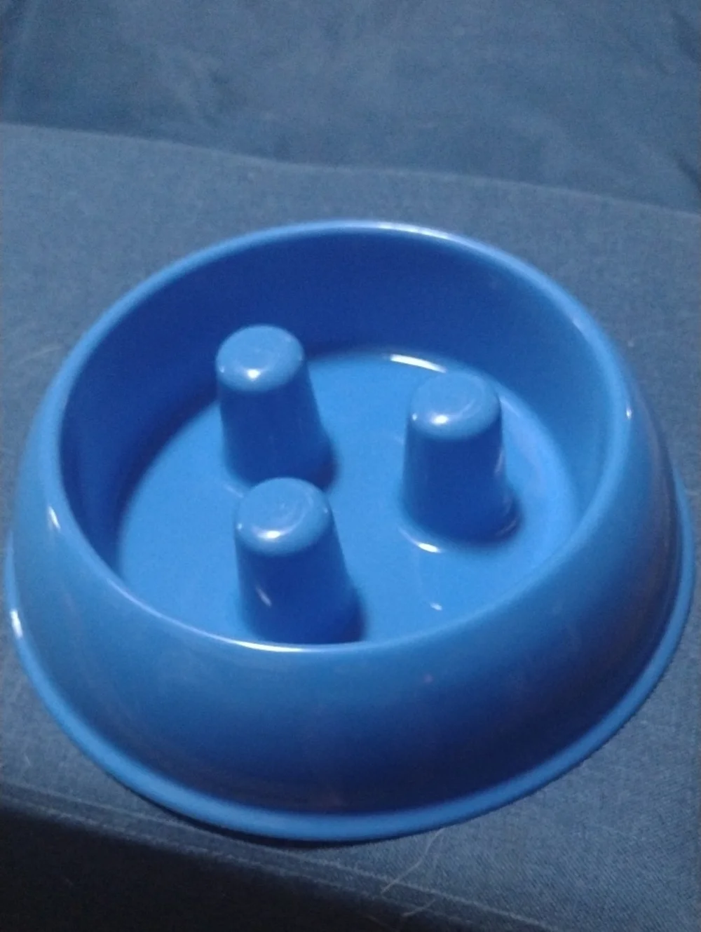 Slow-Feed Brake Fast Dog Bowl - Blue
